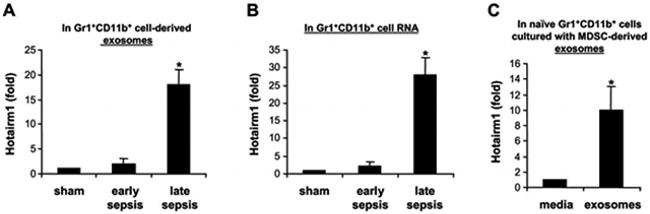 CD11b Antibody in Flow Cytometry (Flow)