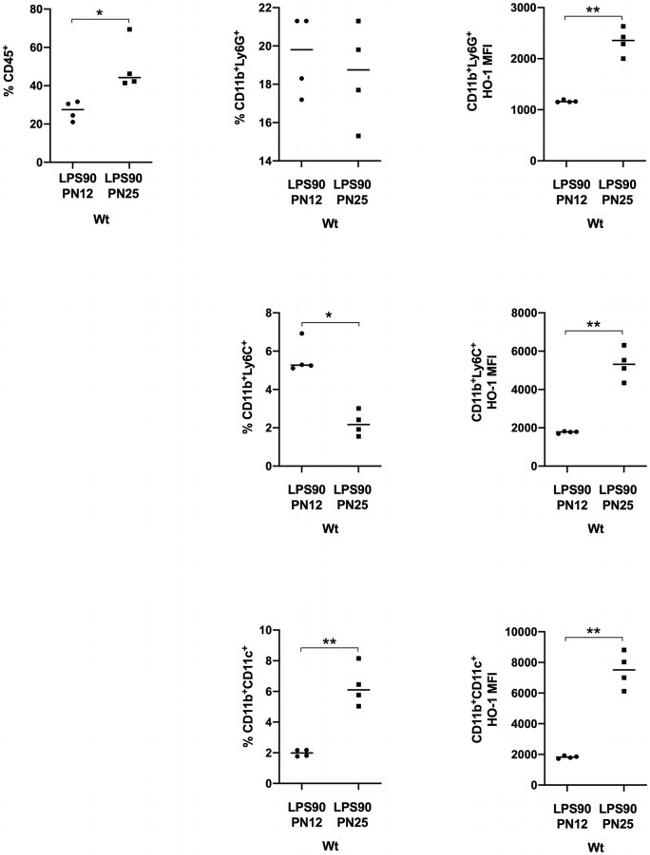 CD11b Antibody in Flow Cytometry (Flow)