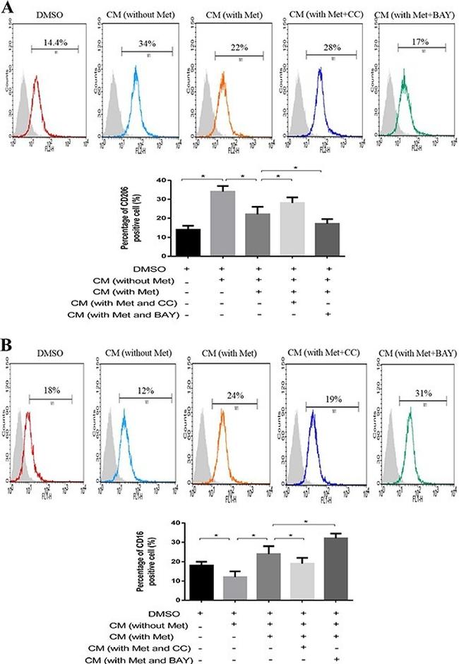 CD16 Antibody in Flow Cytometry (Flow)