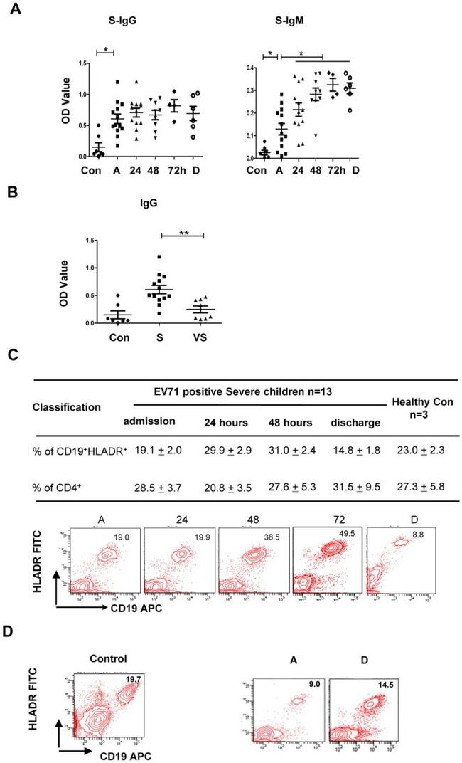 CD19 Antibody in Flow Cytometry (Flow)