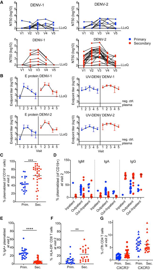 CD27 Antibody in Flow Cytometry (Flow)