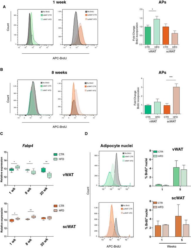 CD29 (Integrin beta 1) Antibody in Flow Cytometry (Flow)