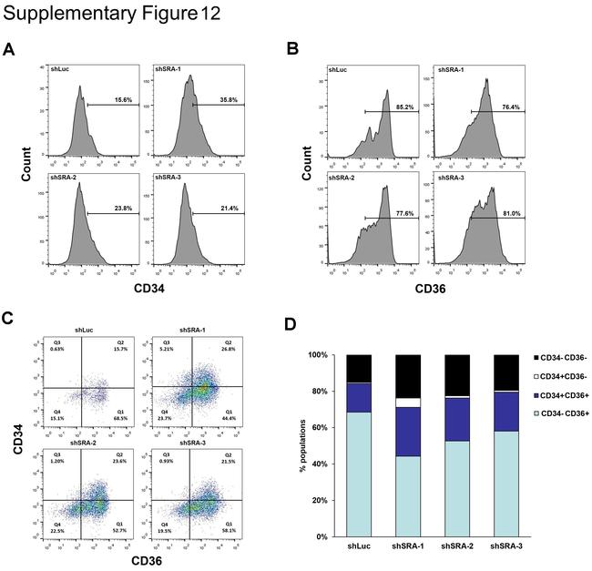 CD34 Antibody in Flow Cytometry (Flow)