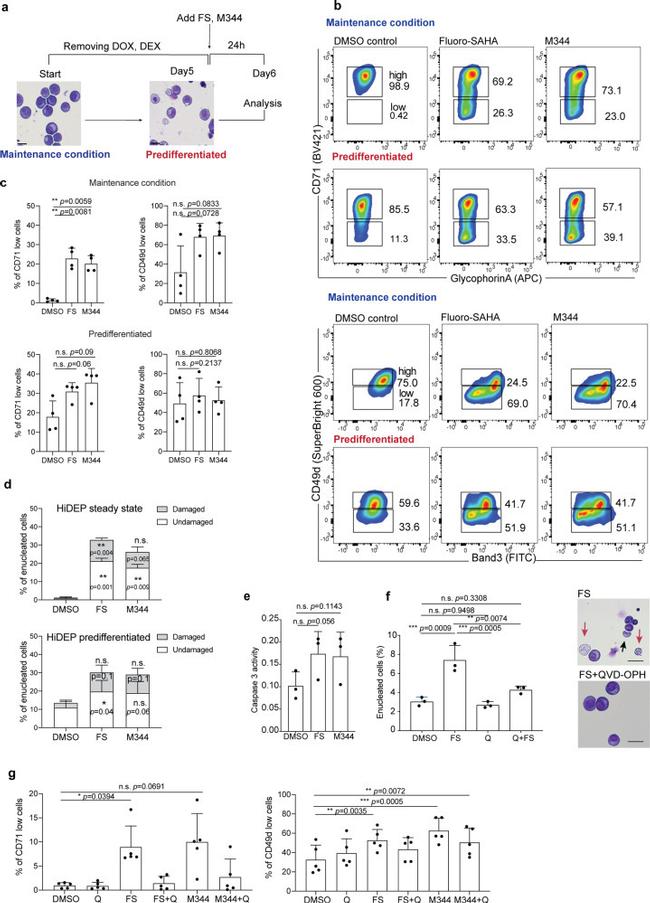 CD49d (Integrin alpha 4) Antibody in Flow Cytometry (Flow)