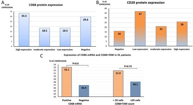 CD68 Antibody in Flow Cytometry (Flow)