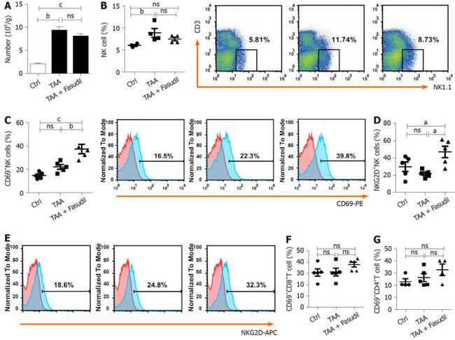 CD69 Antibody in Flow Cytometry (Flow)