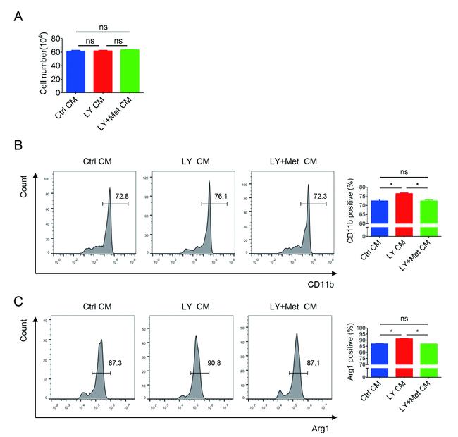 Arginase 1 Antibody in Flow Cytometry (Flow)