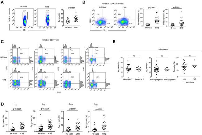 CD278 (ICOS) Antibody in Flow Cytometry (Flow)