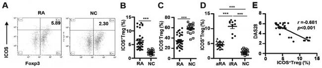 CD278 (ICOS) Antibody in Flow Cytometry (Flow)