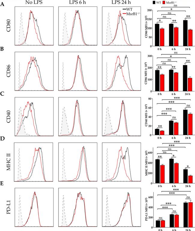 Rabbit IgG (H+L) Highly Cross-Adsorbed Secondary Antibody in Flow Cytometry (Flow)