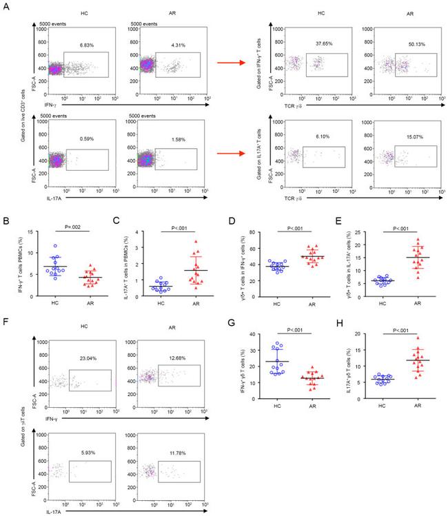 IFN gamma Antibody in Flow Cytometry (Flow)