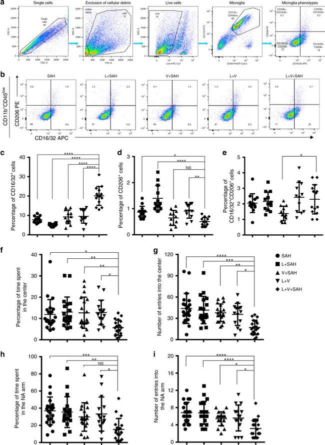 CD206 (MMR) Antibody in Flow Cytometry (Flow)