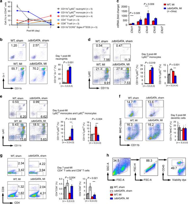 CD45 Antibody in Flow Cytometry (Flow)