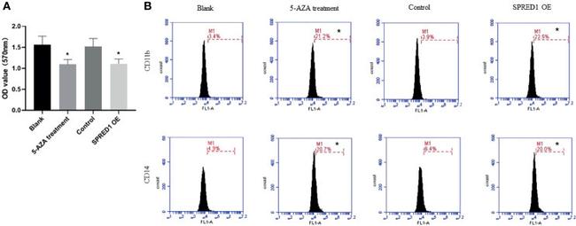 CD11b Antibody in Flow Cytometry (Flow)