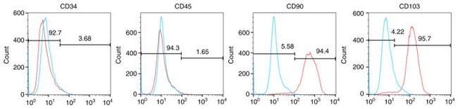 CD34 Antibody in Flow Cytometry (Flow)