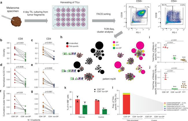 CD39 Antibody in Flow Cytometry (Flow)