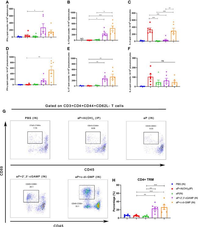 CD69 Antibody in Flow Cytometry (Flow)