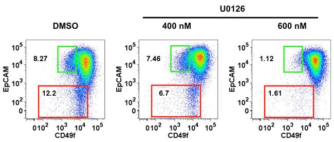 CD49f (Integrin alpha 6) Antibody in Flow Cytometry (Flow)