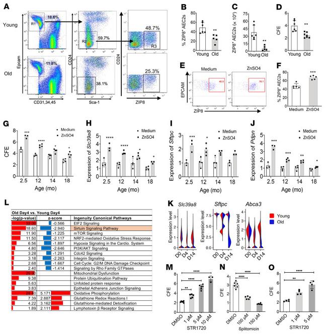 CD45 Antibody in Flow Cytometry (Flow)