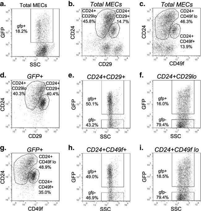 CD49f (Integrin alpha 6) Antibody in Flow Cytometry (Flow)