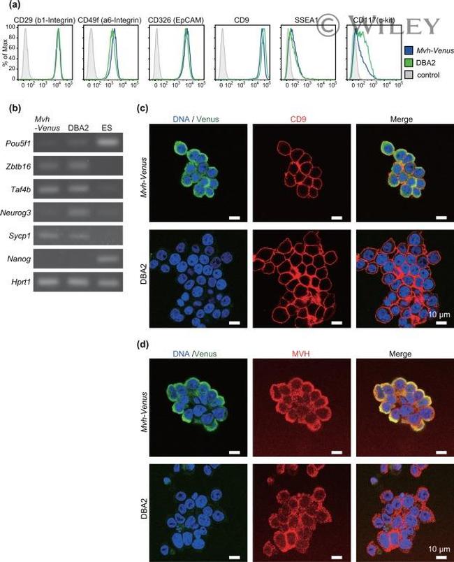 CD29 (Integrin beta 1) Antibody in Flow Cytometry (Flow)