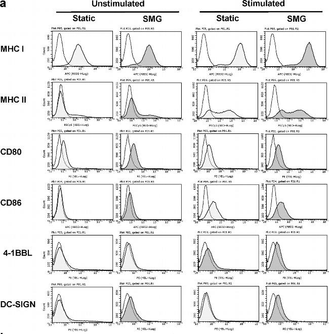 Rat IgG2a kappa Isotype Control in Flow Cytometry (Flow)