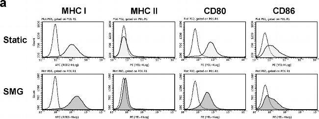 Rat IgG2a kappa Isotype Control in Flow Cytometry (Flow)