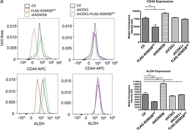 Rat IgG2a kappa Isotype Control in Flow Cytometry (Flow)