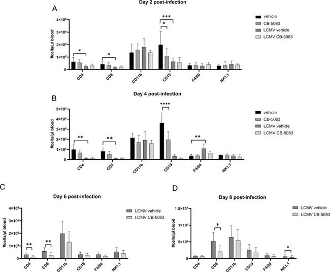 CD19 Antibody in Flow Cytometry (Flow)