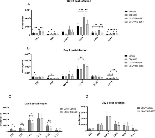 CD19 Antibody in Flow Cytometry (Flow)