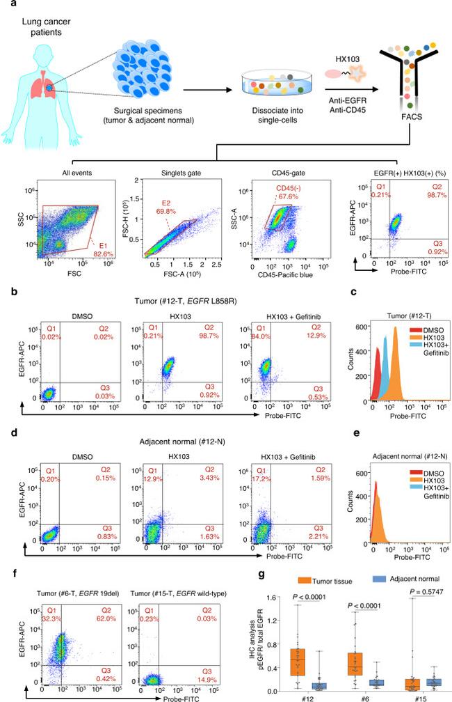 CD45 Antibody in Flow Cytometry (Flow)