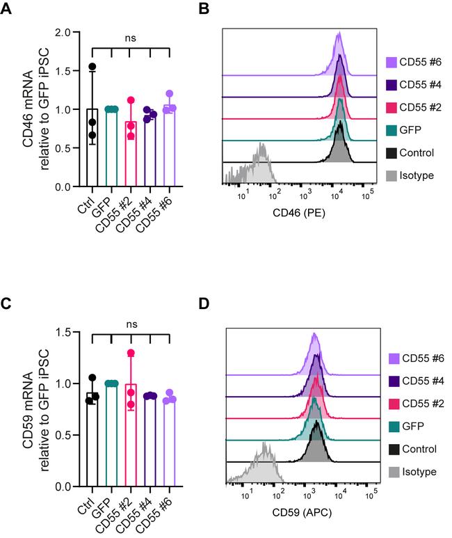 CD46 Antibody in Flow Cytometry (Flow)