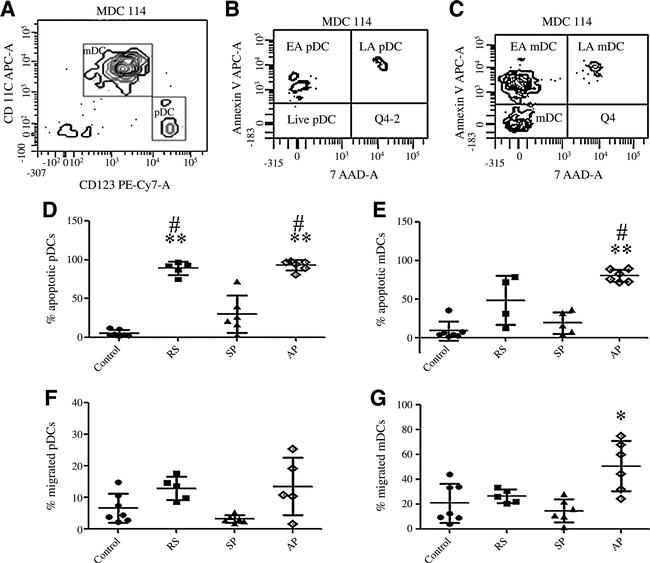 CD123 Antibody in Flow Cytometry (Flow)