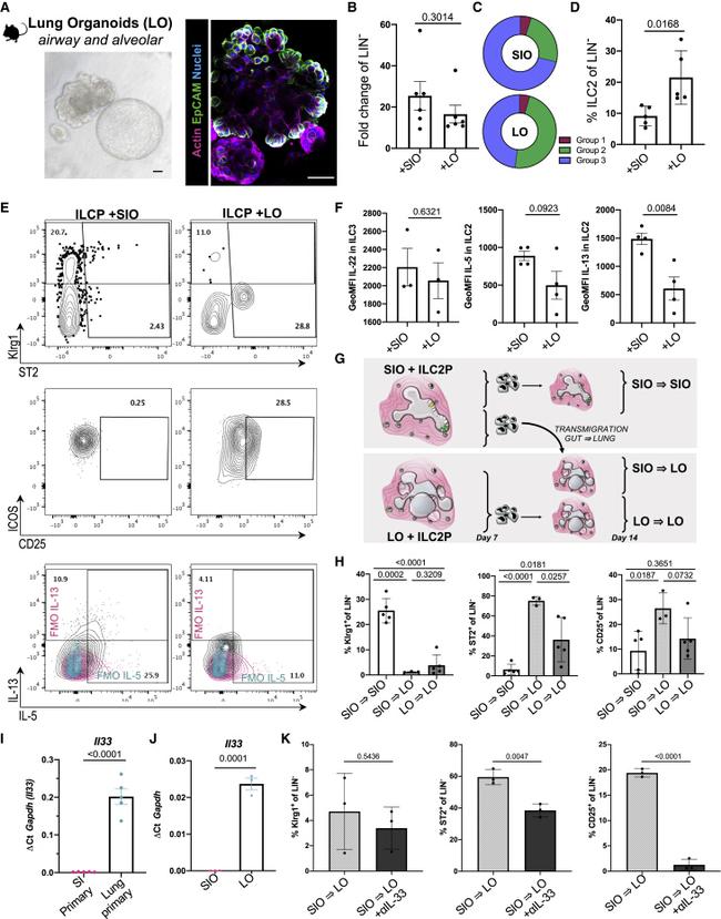 CD278 (ICOS) Antibody in Flow Cytometry (Flow)