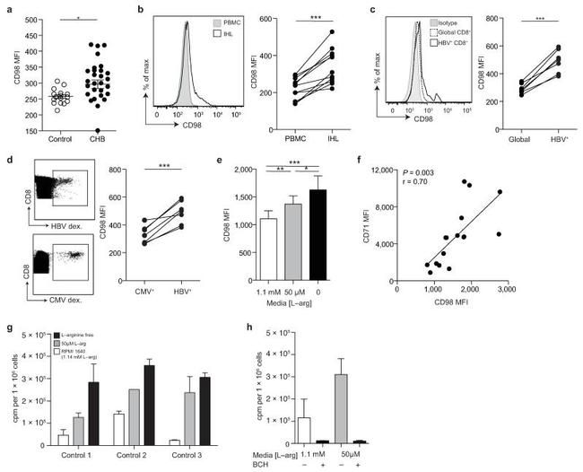 CD3 Antibody in Flow Cytometry (Flow)