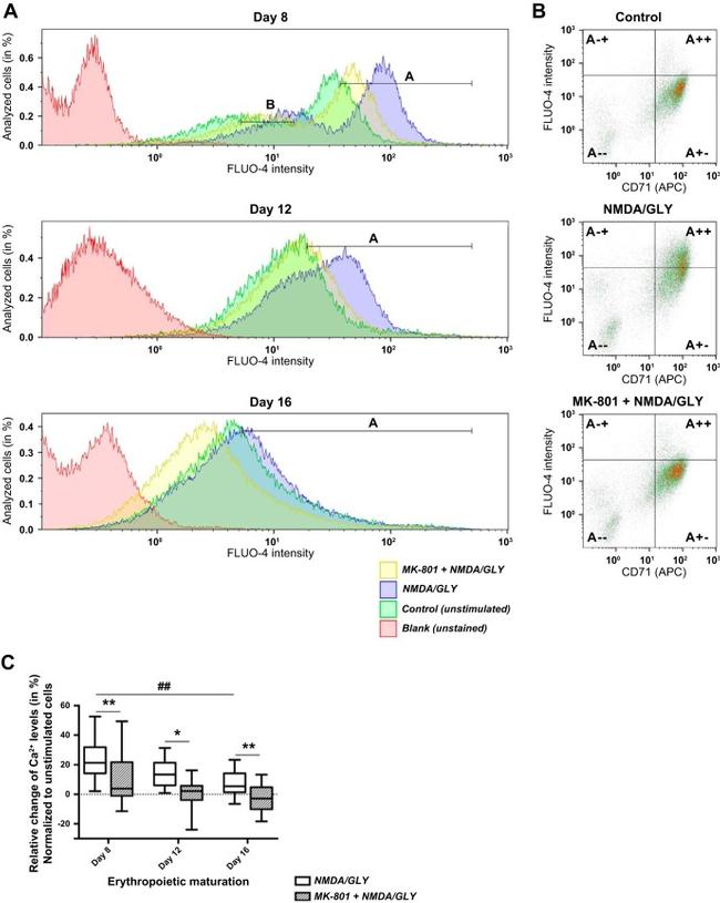 CD71 (Transferrin Receptor) Antibody in Flow Cytometry (Flow)