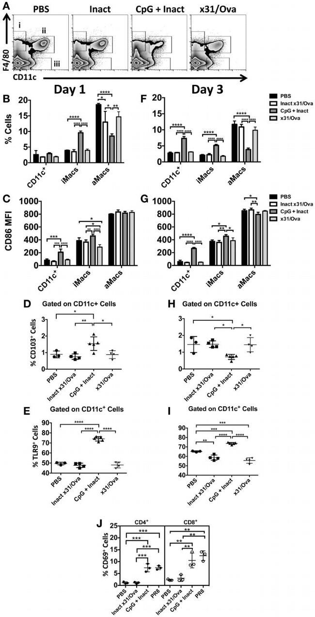 CD8a Antibody in Flow Cytometry (Flow)