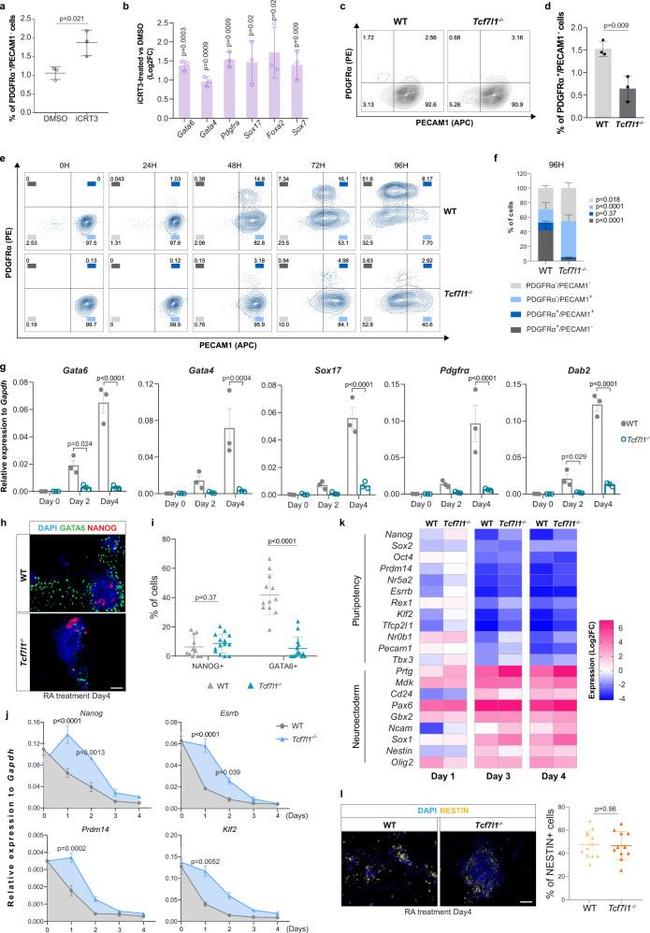 CD140a (PDGFRA) Antibody in Flow Cytometry (Flow)