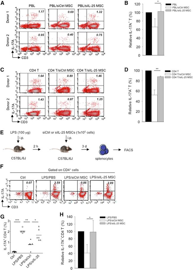 IL-17A Antibody in Flow Cytometry (Flow)