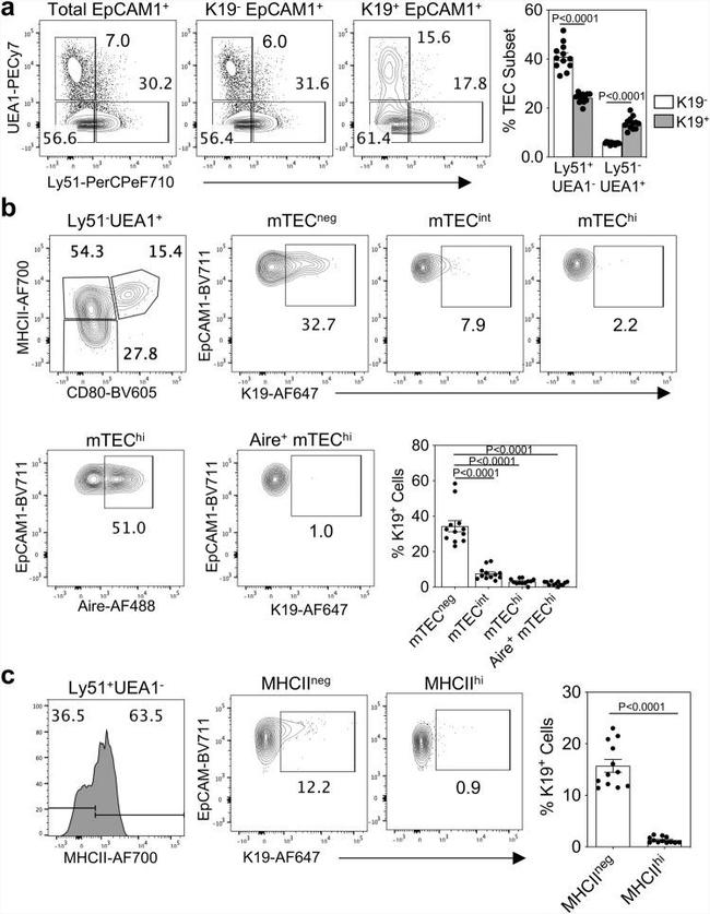 CD249 (BP-1) Antibody in Flow Cytometry (Flow)