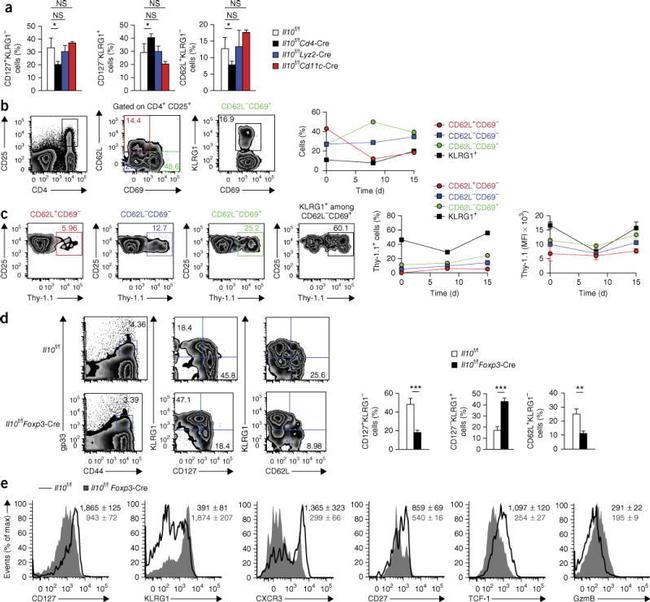 CD27 Antibody in Flow Cytometry (Flow)