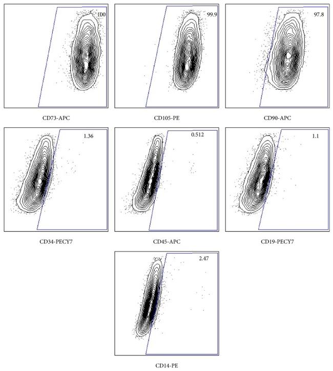 CD34 Antibody in Flow Cytometry (Flow)