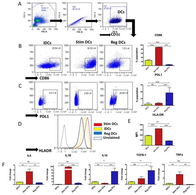 CD1c Antibody in Flow Cytometry (Flow)