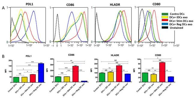 CD86 (B7-2) Antibody in Flow Cytometry (Flow)