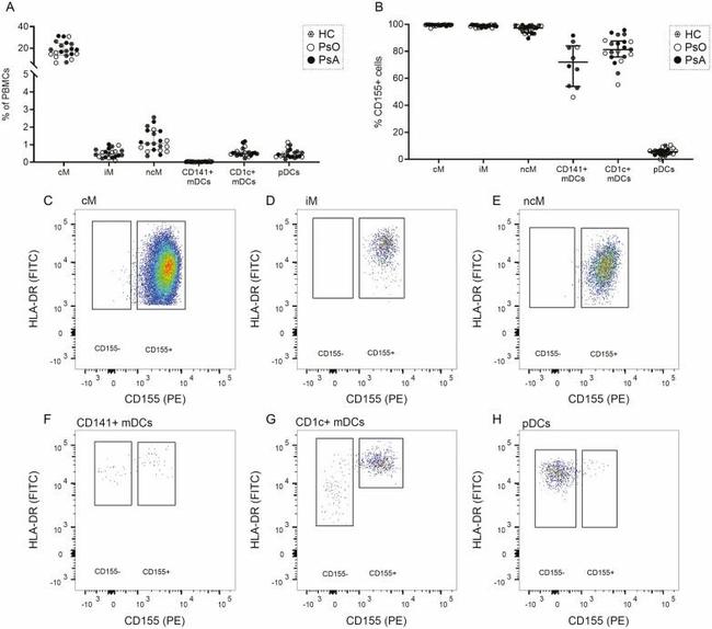 CD1c Antibody in Flow Cytometry (Flow)