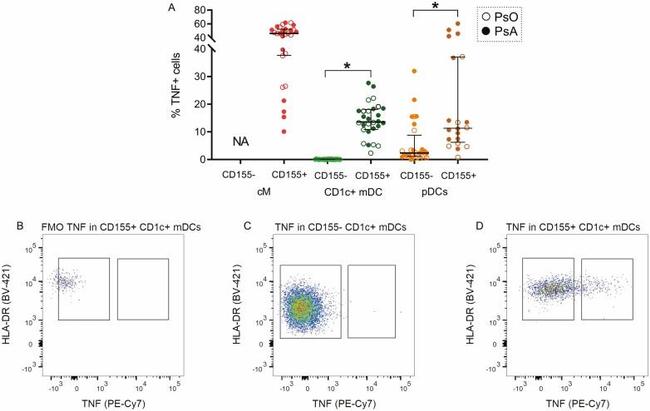 CD1c Antibody in Flow Cytometry (Flow)