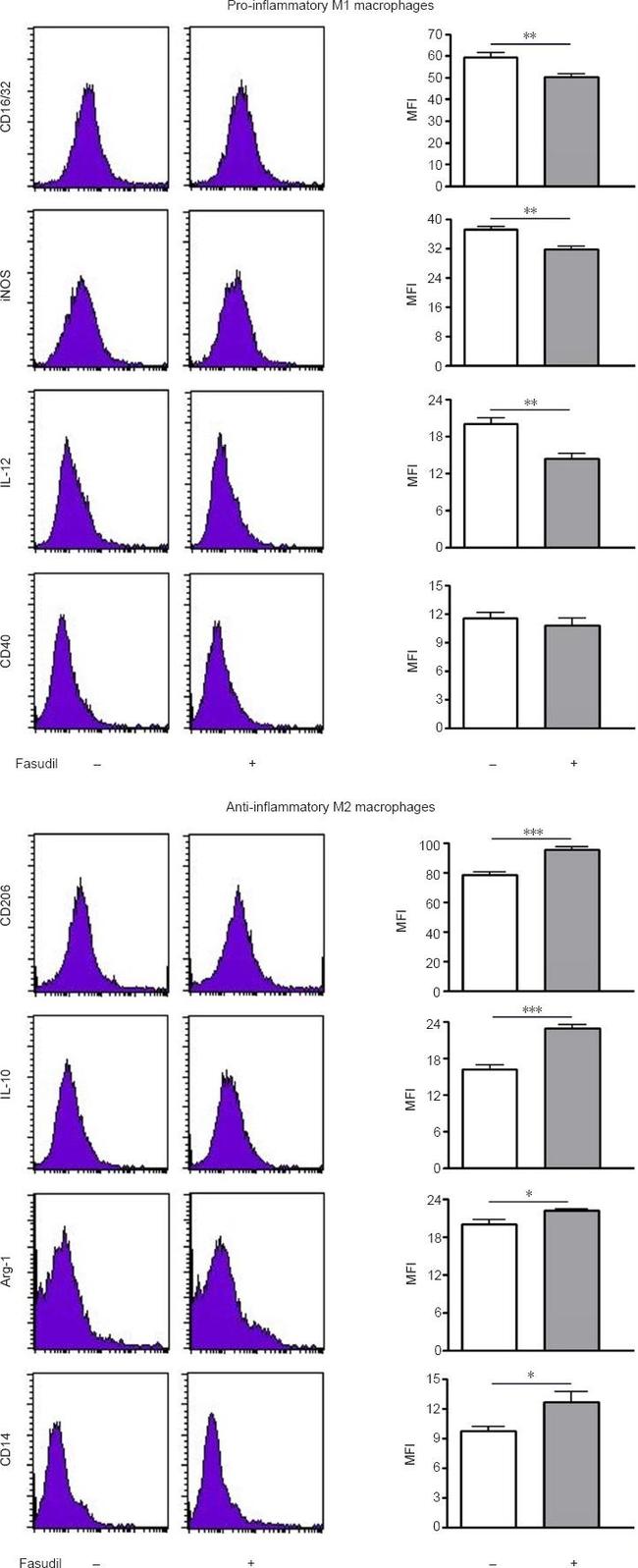 CD40 Antibody in Flow Cytometry (Flow)