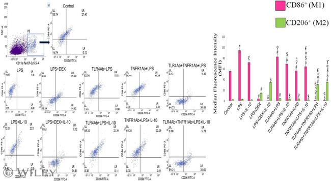 CD11b Antibody in Flow Cytometry (Flow)