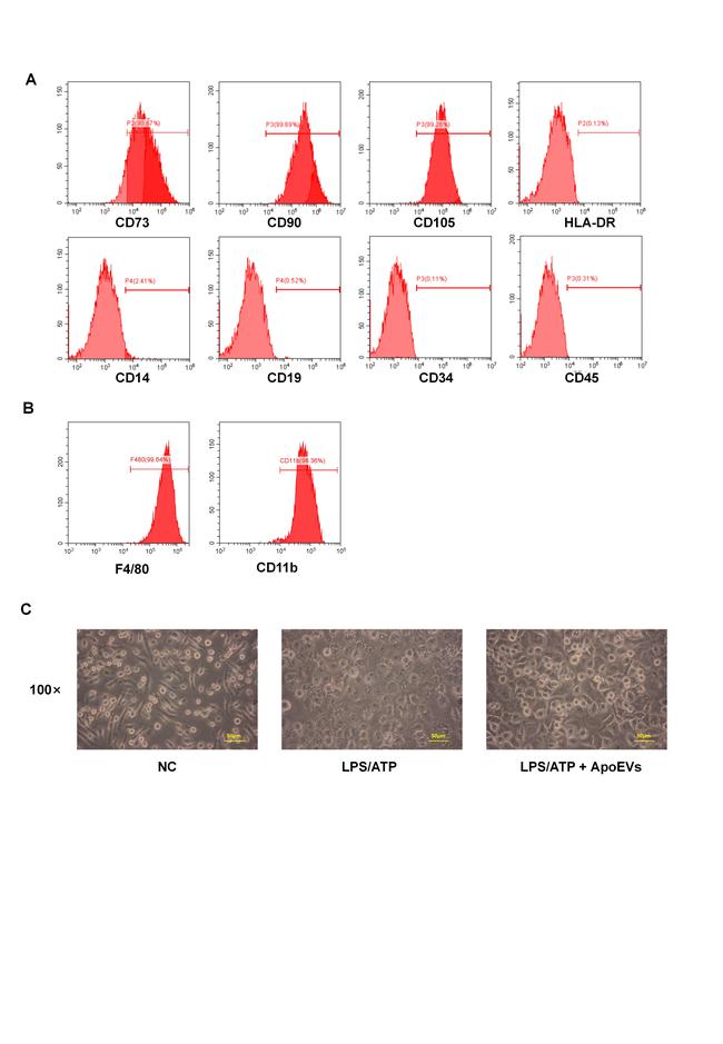 CD14 Antibody in Flow Cytometry (Flow)