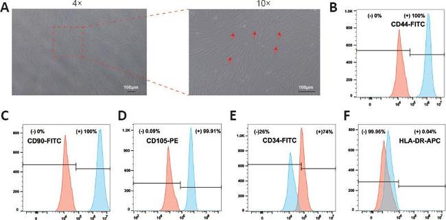 CD34 Antibody in Flow Cytometry (Flow)